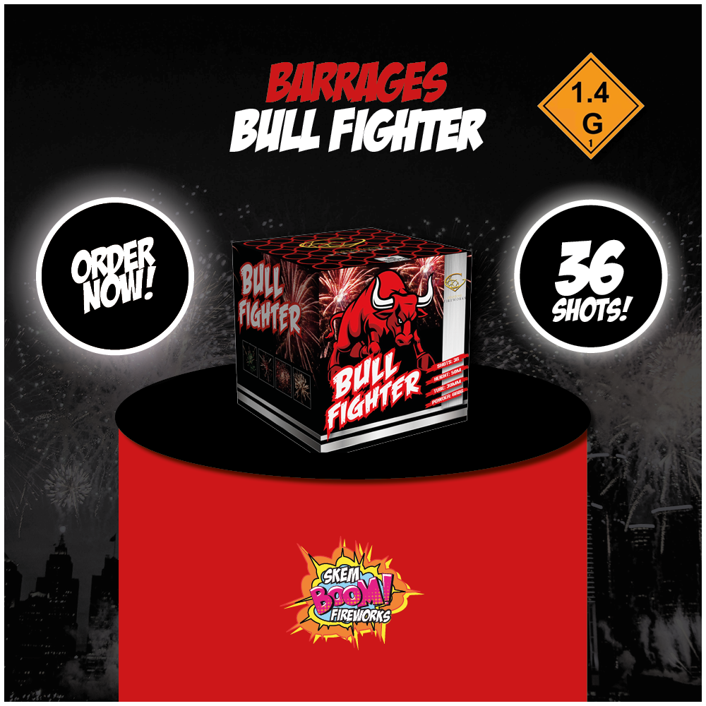 Bull Fighter