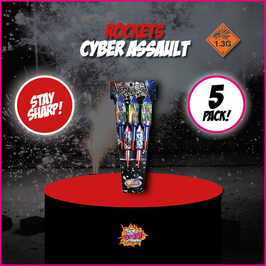 Cyber Assault