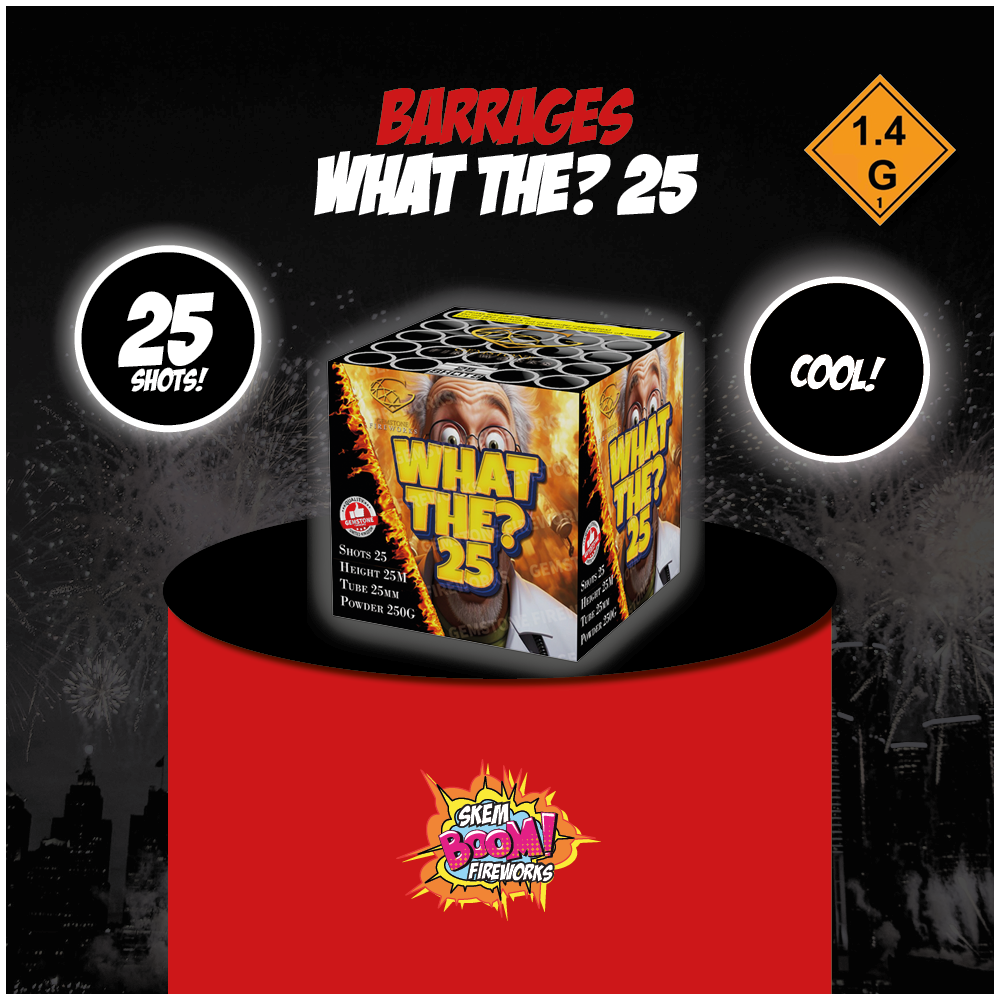 What The? 25